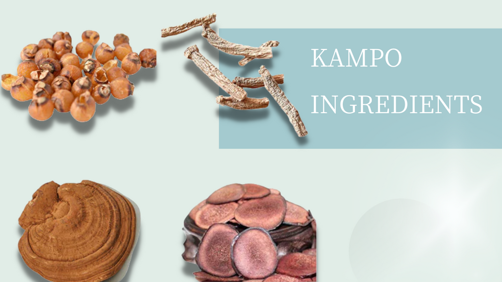 4 high-grade Kampo ingredients (Acient Chinese Essences)